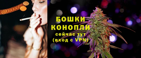 круглые Гусев