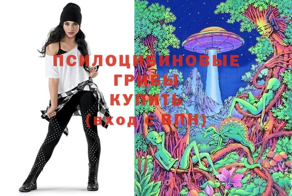 СК Гусь-Хрустальный