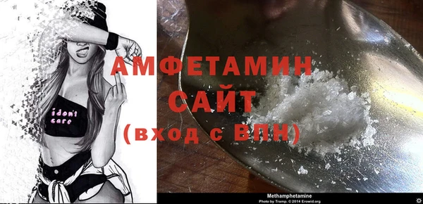 ГАЛЛЮЦИНОГЕННЫЕ ГРИБЫ Горняк