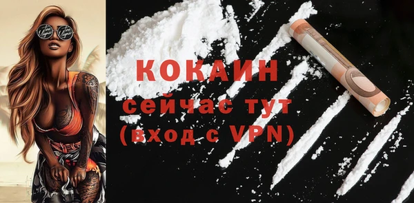 ГАЛЛЮЦИНОГЕННЫЕ ГРИБЫ Горняк