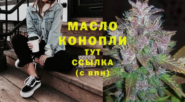 ГАЛЛЮЦИНОГЕННЫЕ ГРИБЫ Горняк