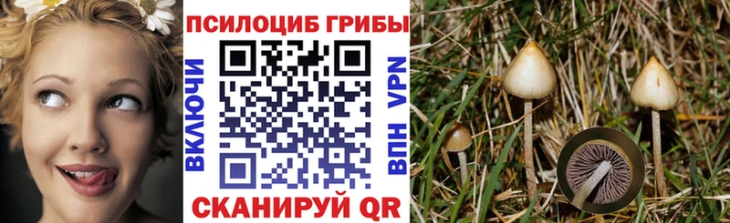 Галлюциногенные грибы Magic Shrooms  Елизаветинская 