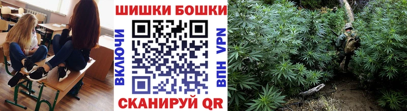 магазин  наркотиков  Елизаветинская  Конопля сатива 